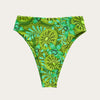 Kiwi Majorca Bottom