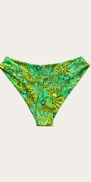 Kiwi Malta Bottom