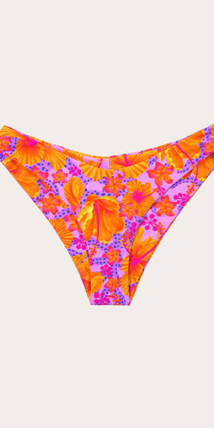 Hibiscus Malta Bottom