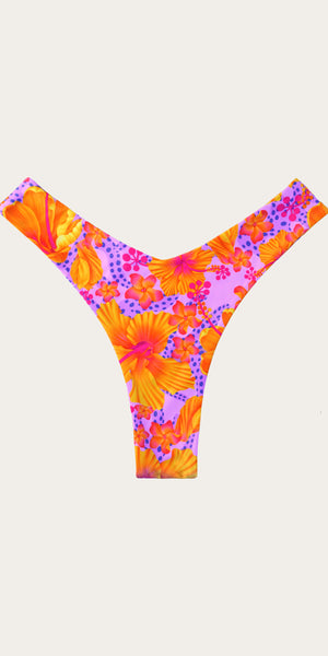 Hibiscus Capri Bottom
